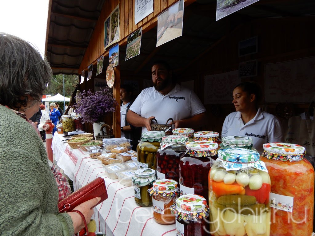Helyi Értékek Startja 55